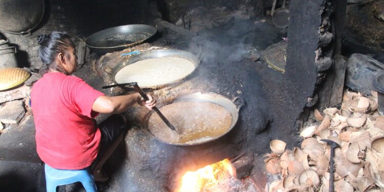 3 Manfaat Besar Minyak Kelapa Serta Perbandingan Harga Minyak Kelapa dan Minyak Sawit
